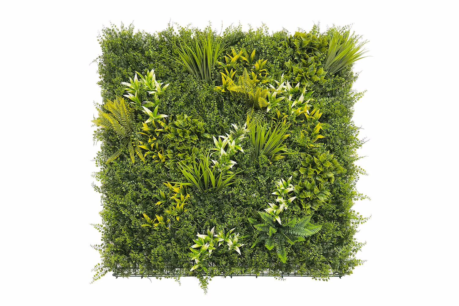 Botanic B