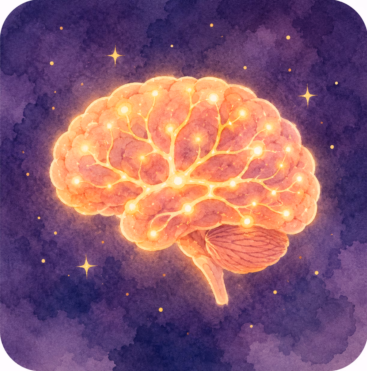 Illustration of an orange brain with glowing neural connections against a dark purple starry background.