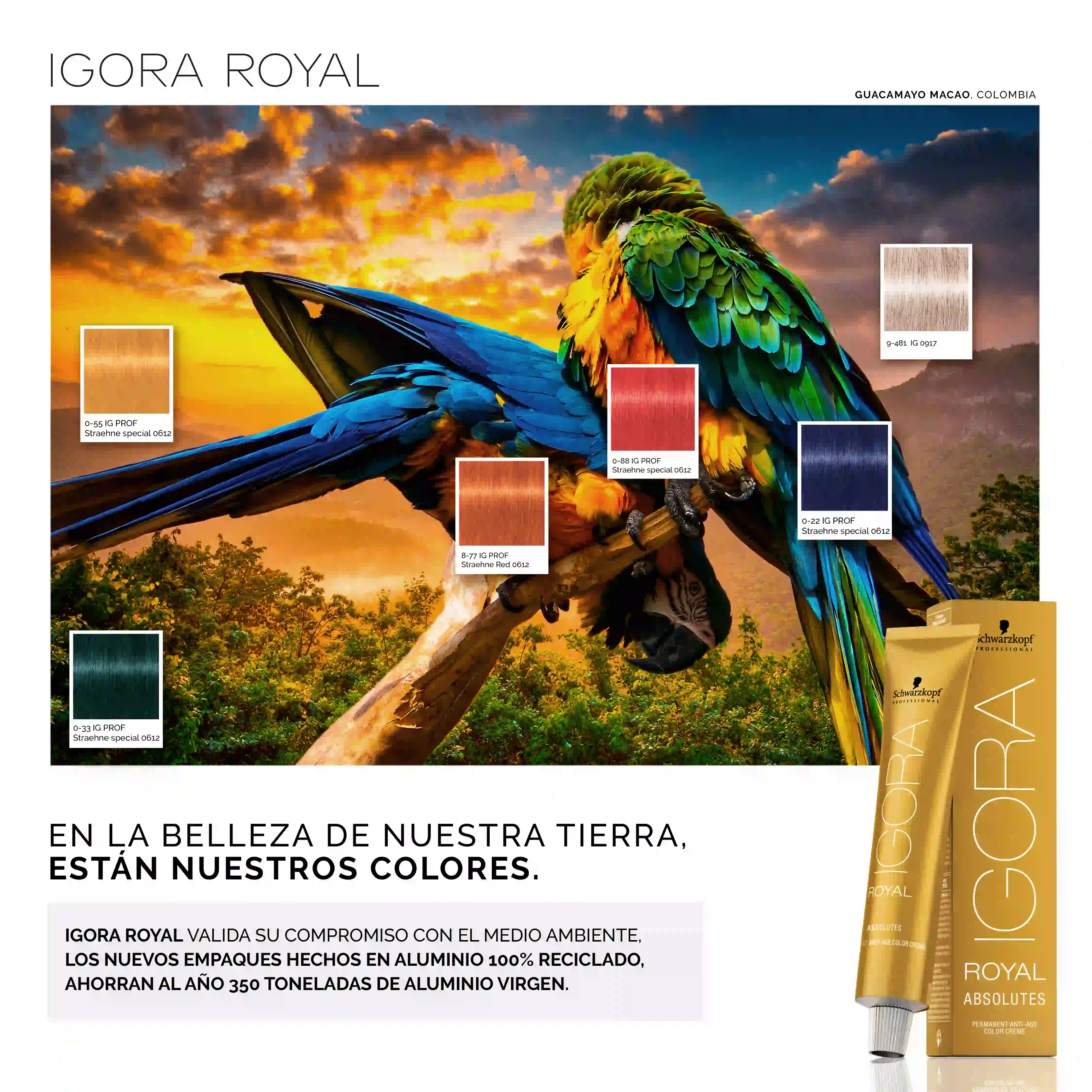 Campaña Igora Royal