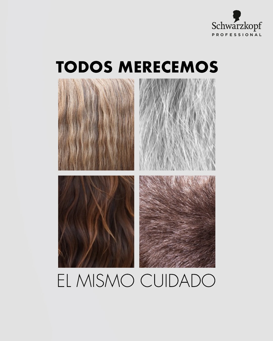 Campaña Igora Royal