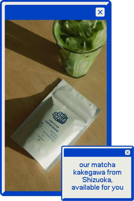 Our matcha Kakegawa, from Shizuoka, Japan, available for purchase.