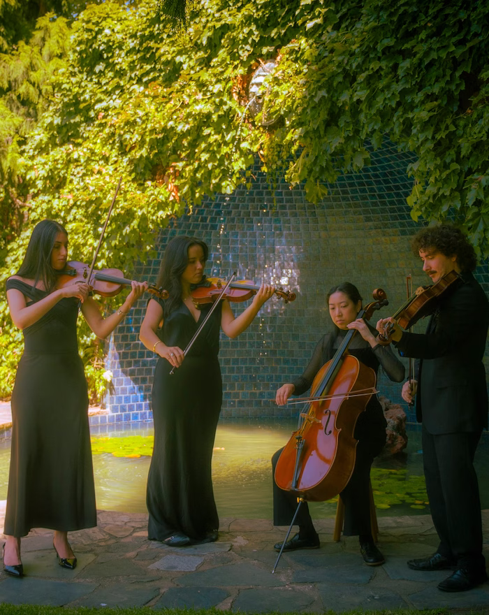 A group of classical musicians playing in front of a water feature.