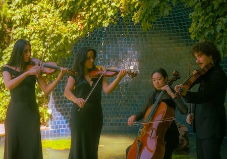 A group of classical musicians playing in front of a water feature.