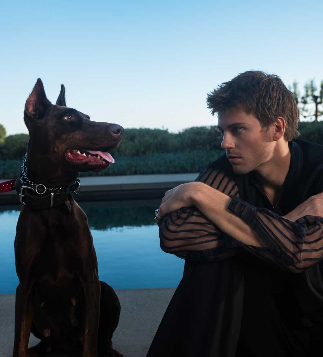 Ruel looking at dog