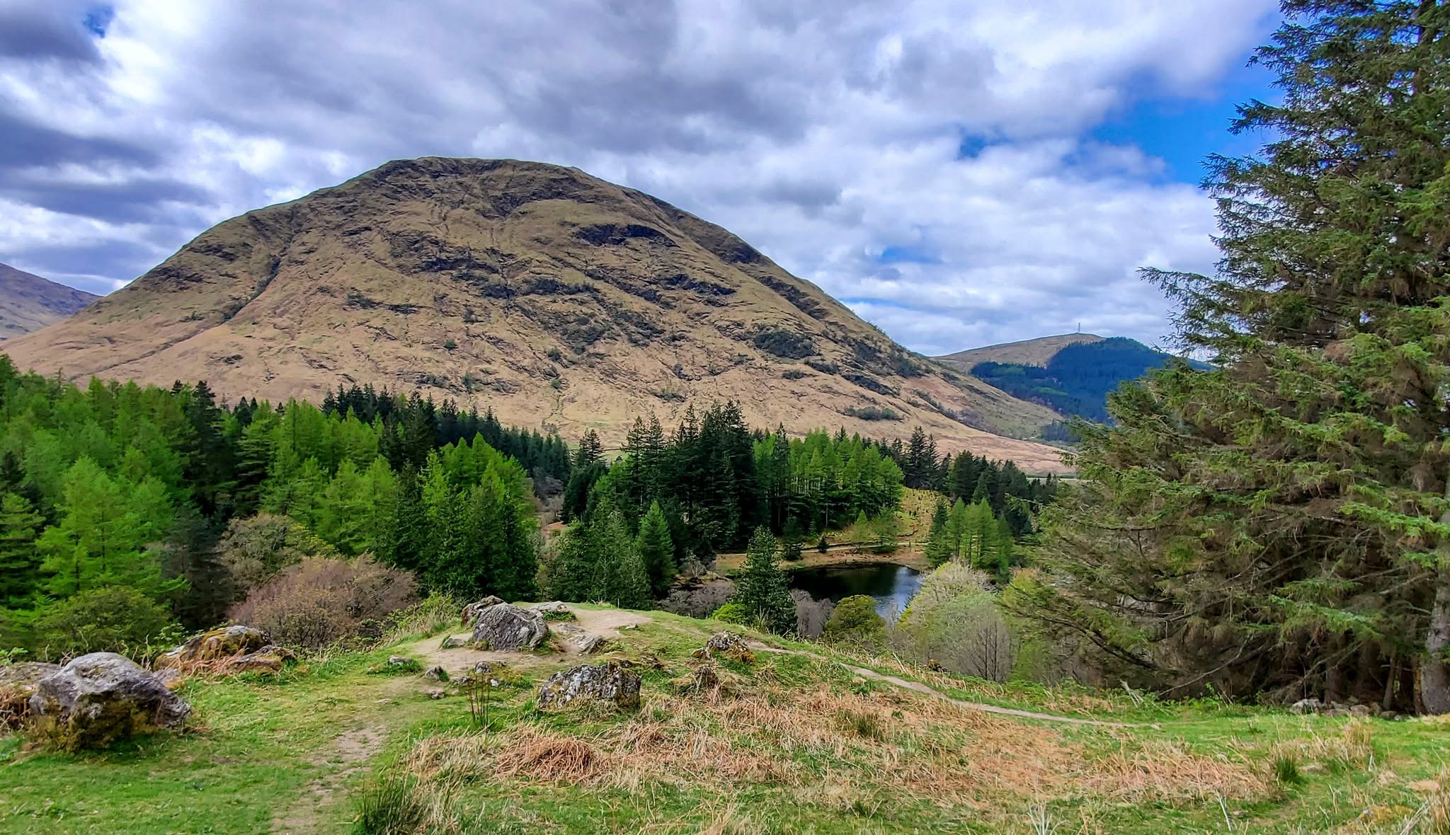 May be an image of mountain, nature, tree and grass