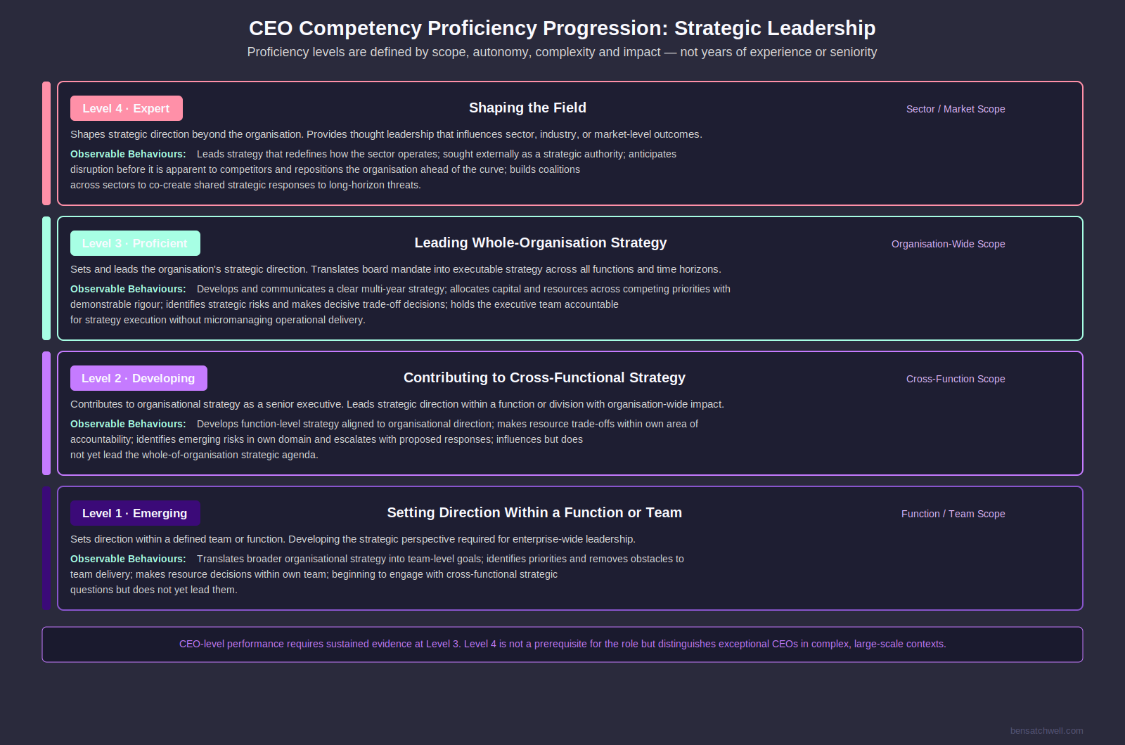 CEO competency framework levels progression diagram showing four proficiency levels for strategic leadership from emerging to expert