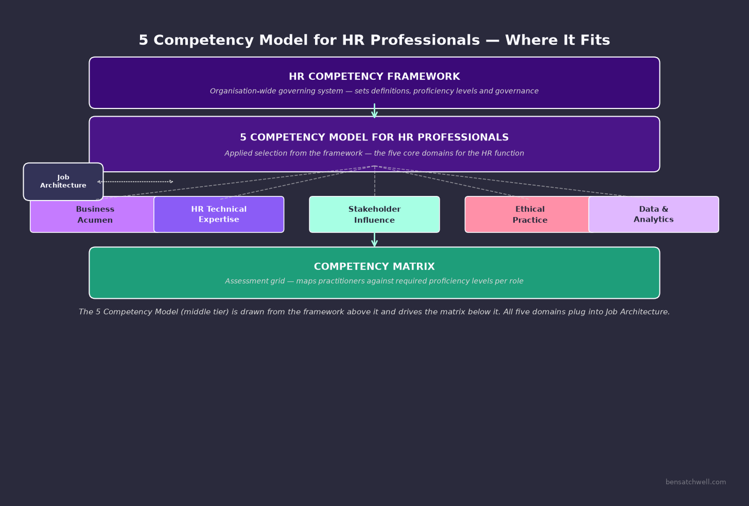 5 competency model for HR professionals structure diagram showing five core competency domains