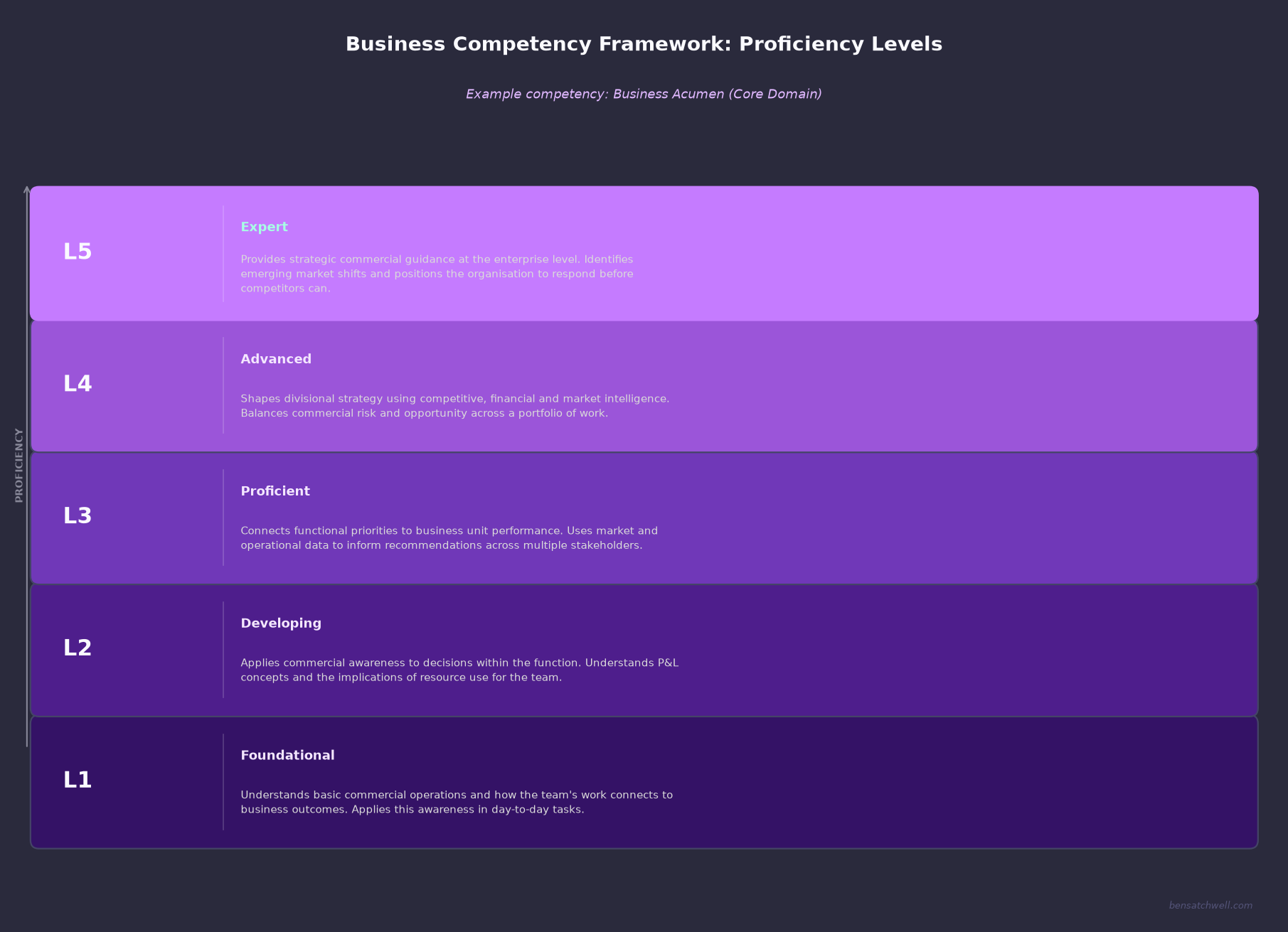 Business competency framework proficiency levels showing Business Acumen from Foundational to Expert with descriptors for each level