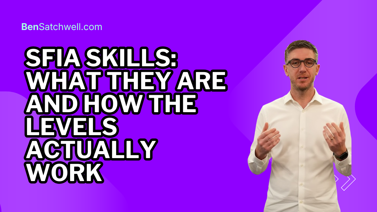 SFIA skills and level structure explained