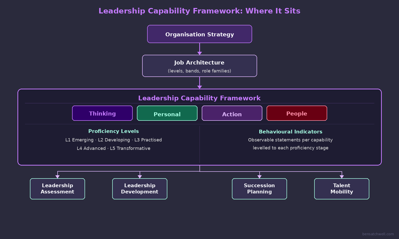 Leadership capability framework structure diagram showing domains and system architecture