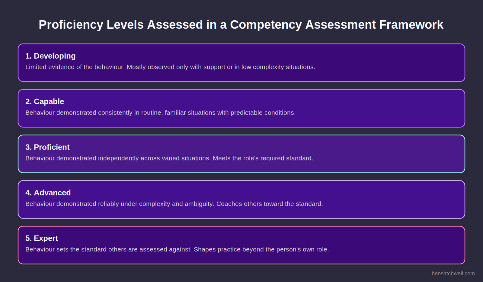 Diagram showing the five proficiency levels assessed in a competency assessment framework, from developing to expert