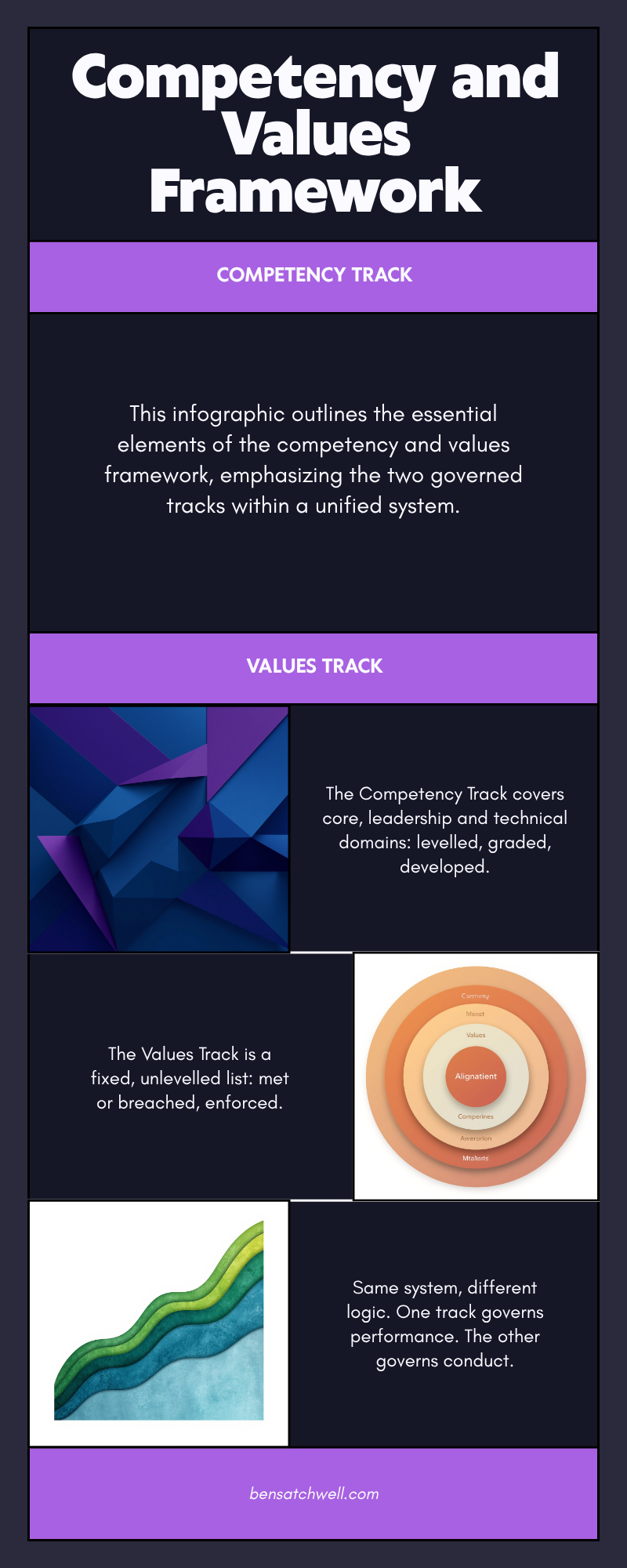 Competency and values framework structure diagram showing the competency track and values track as separate governed layers