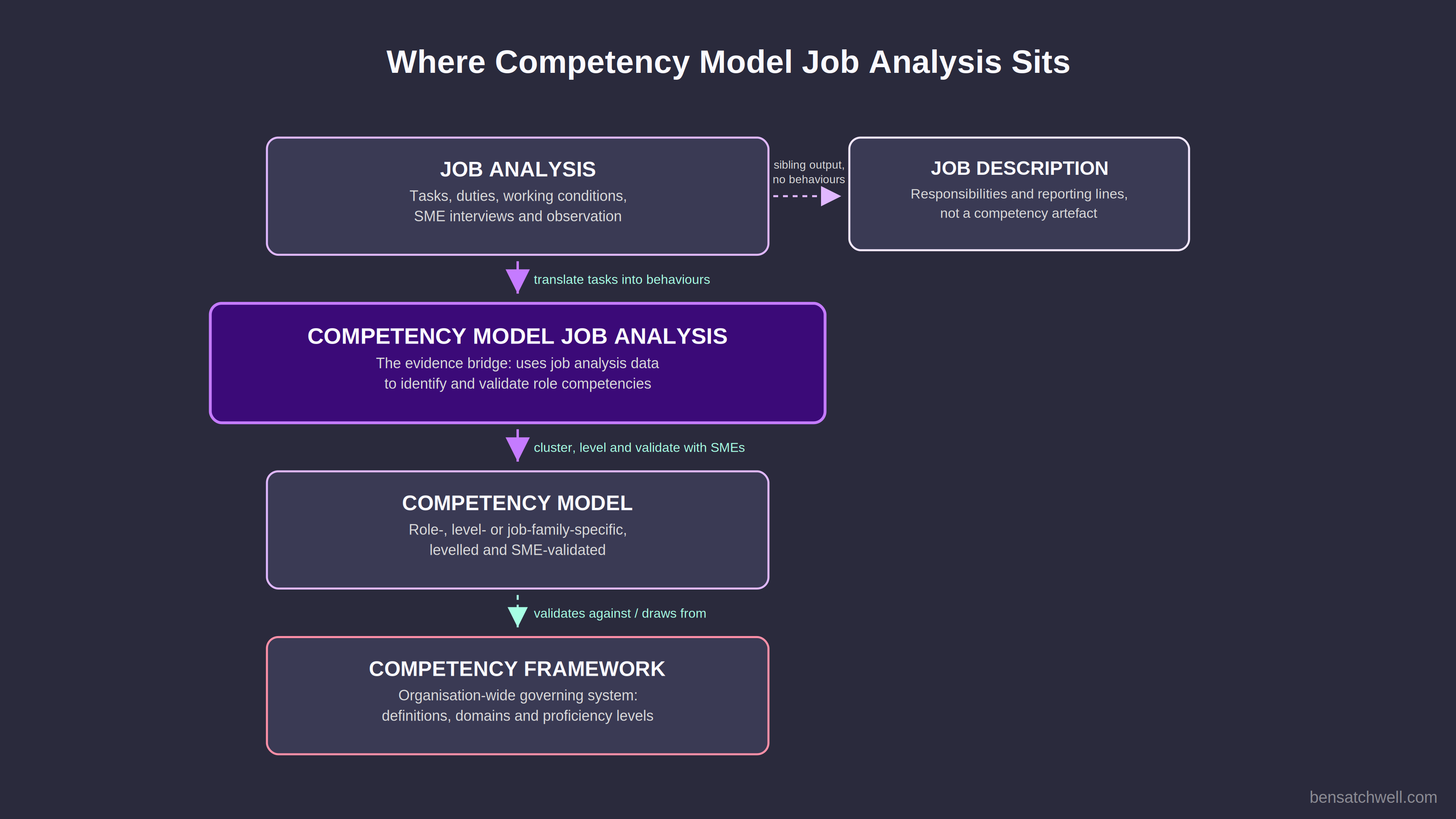 Diagram showing where competency model job analysis sits between job analysis and the competency framework