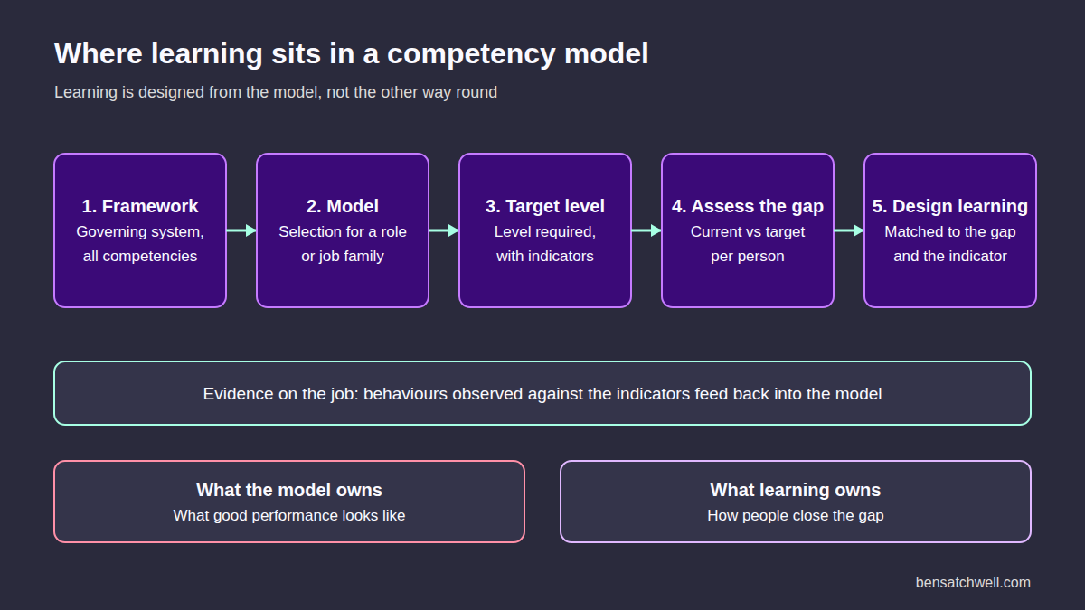 Competency model training structure diagram showing how a competency framework leads to a model, target levels, gap assessment and learning design
