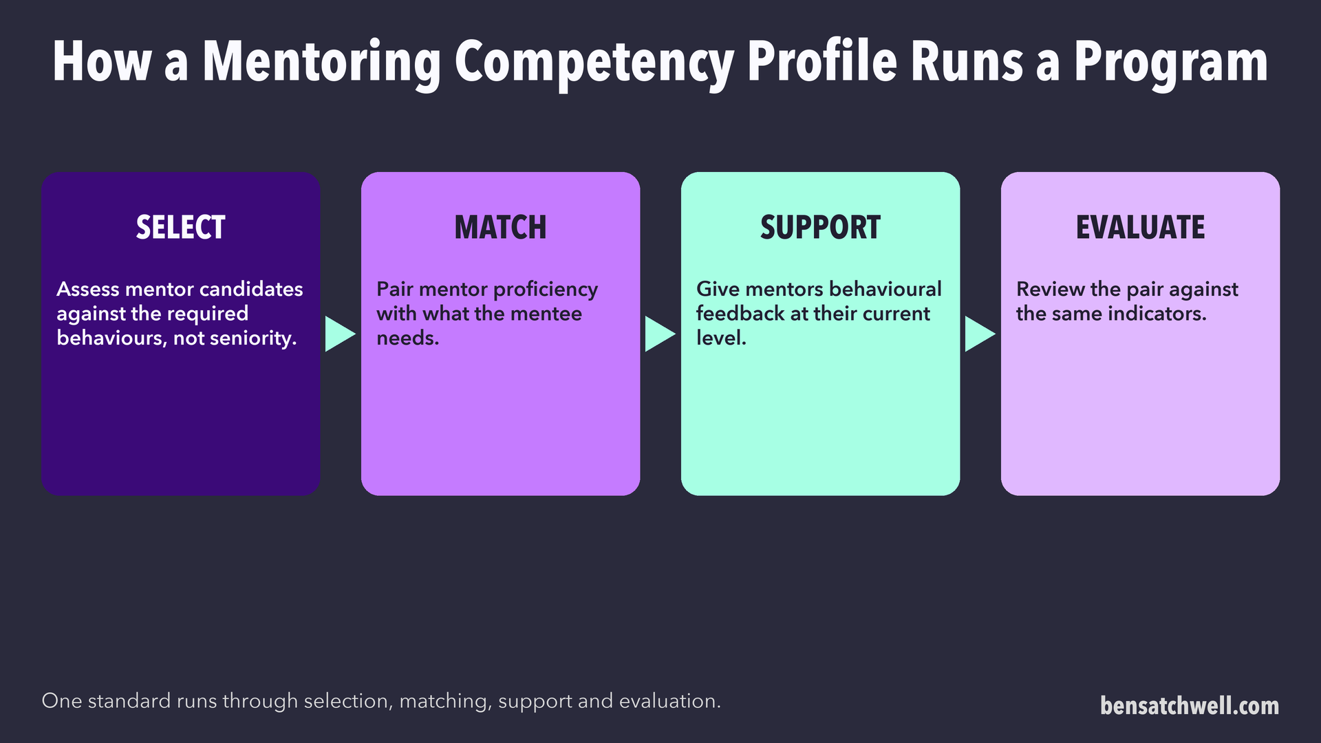 Flow showing one mentoring competency profile running selection, matching, support and evaluation