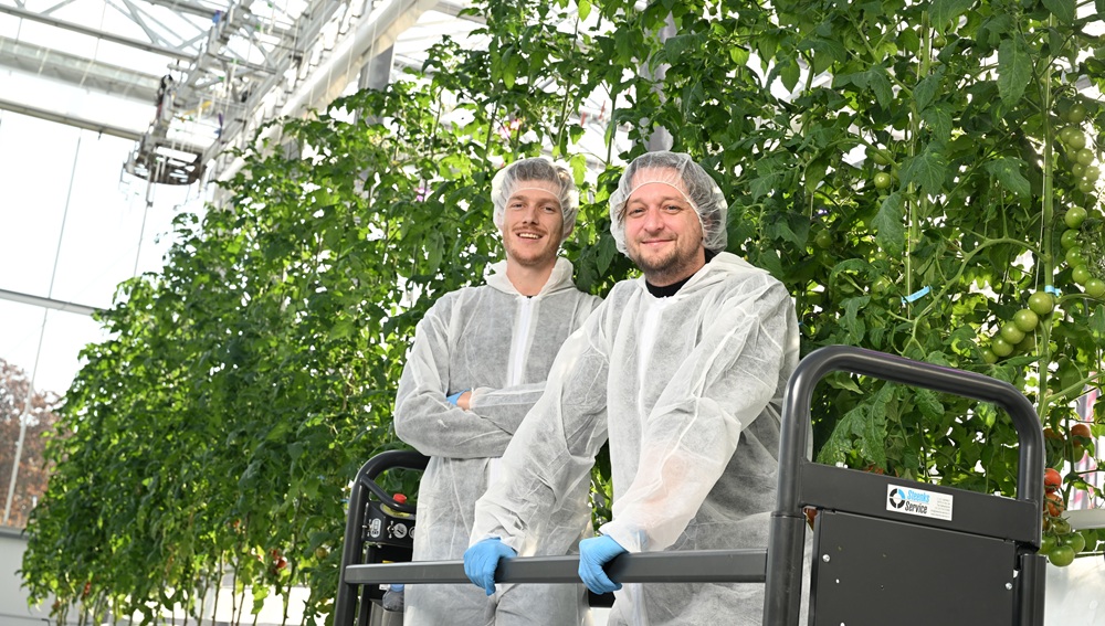 Afbeelding beschrijving