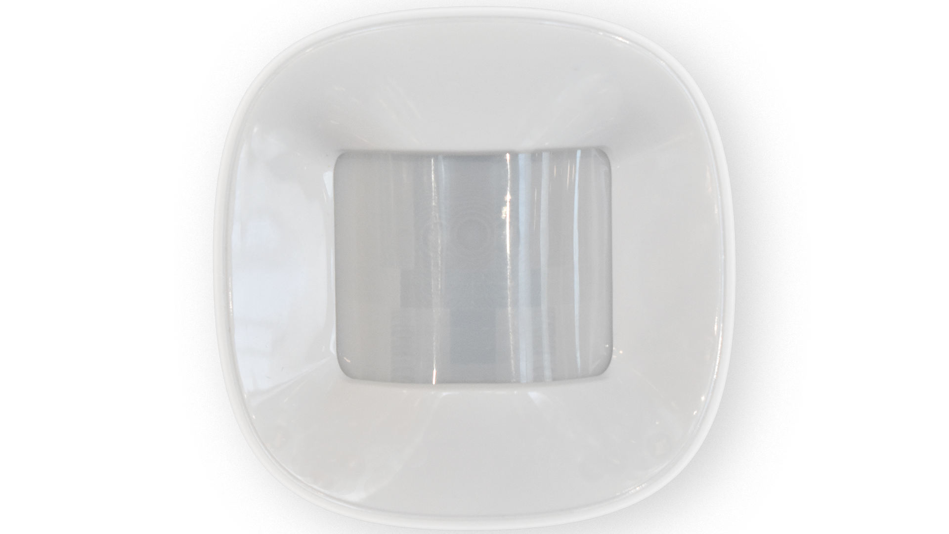 Motion Sensor 2 Pet