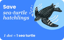 Save Sea Turtles Gift Card