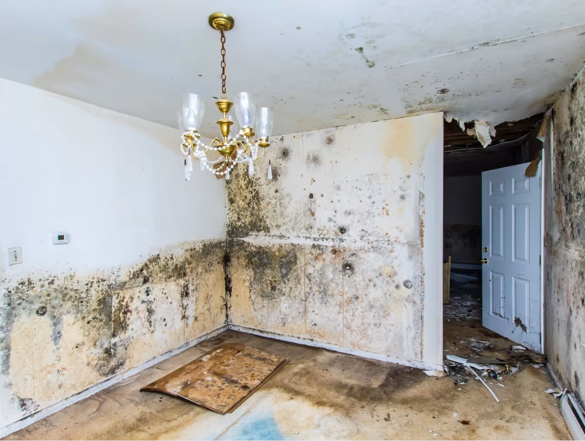 logement indécent