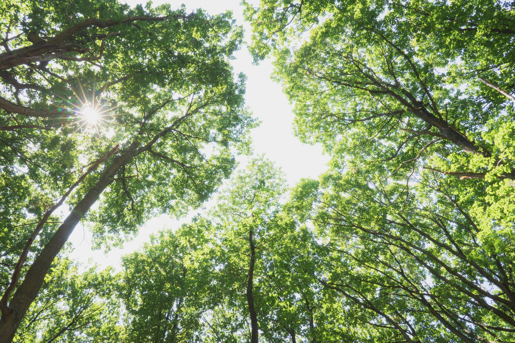 Investir pour l'écologie et la planète 