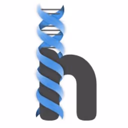 Lowercase letter 'n' wrapped by a blue DNA double helix strand.