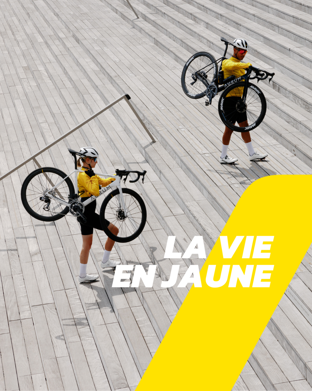 MAVIC