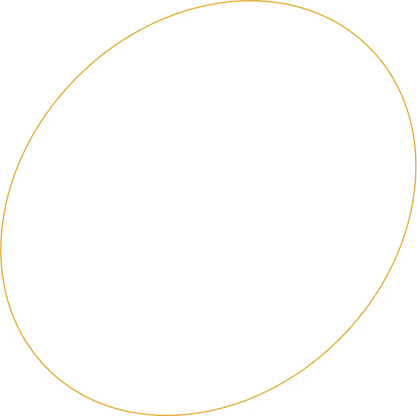 Gold ellipse design accent, captured at Neighbourhood — a refined christmas restaurant kildare experience in County Kildare.