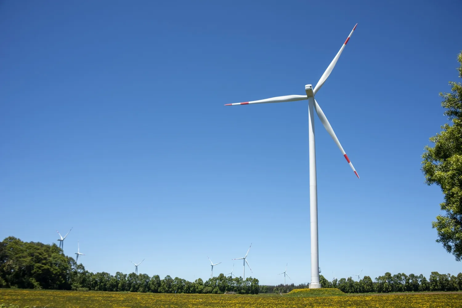 Unique Complexities in the Wind Sector: Critical Issues Analysis for a Wind Project in Indiana