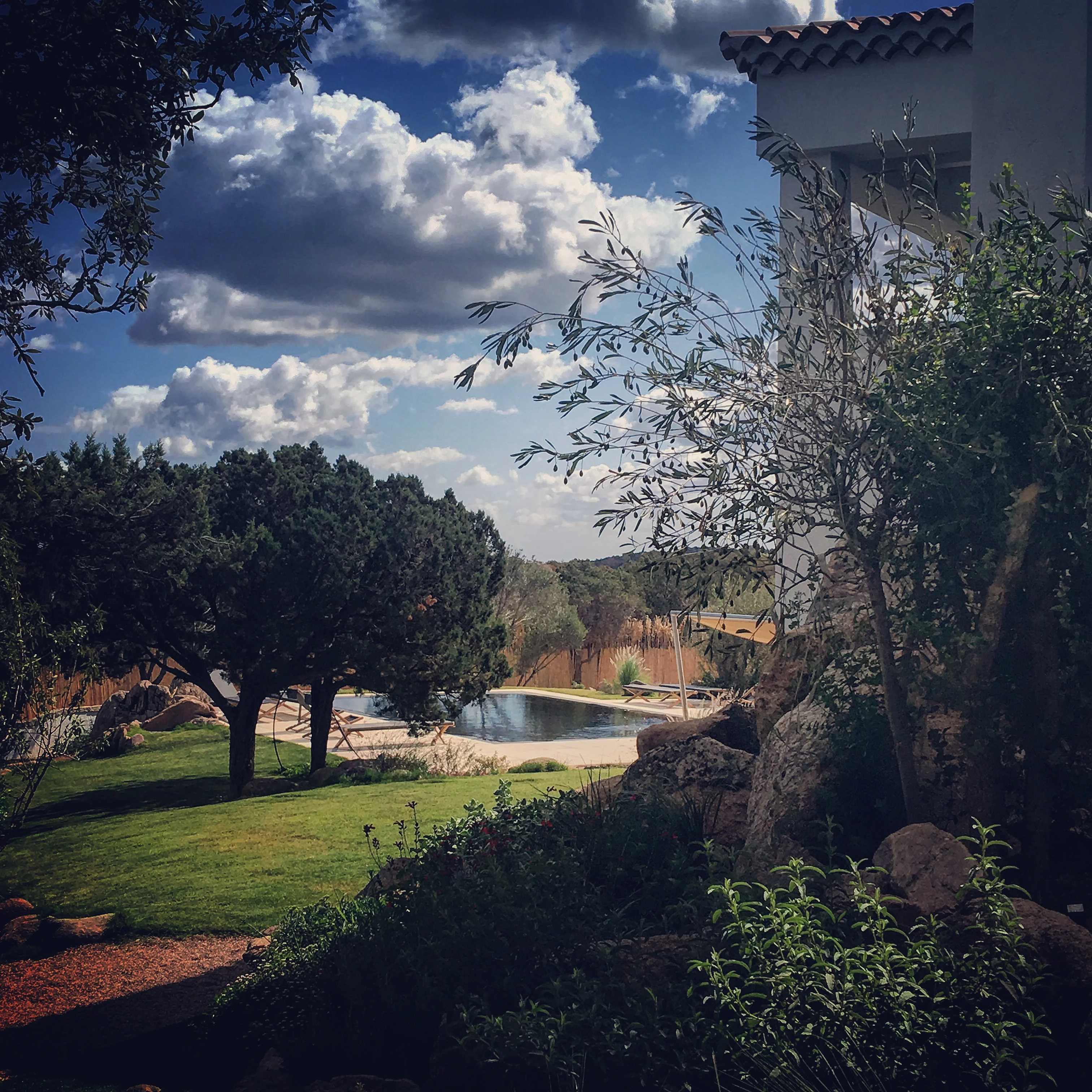 Vista su giardino ad Arzachena