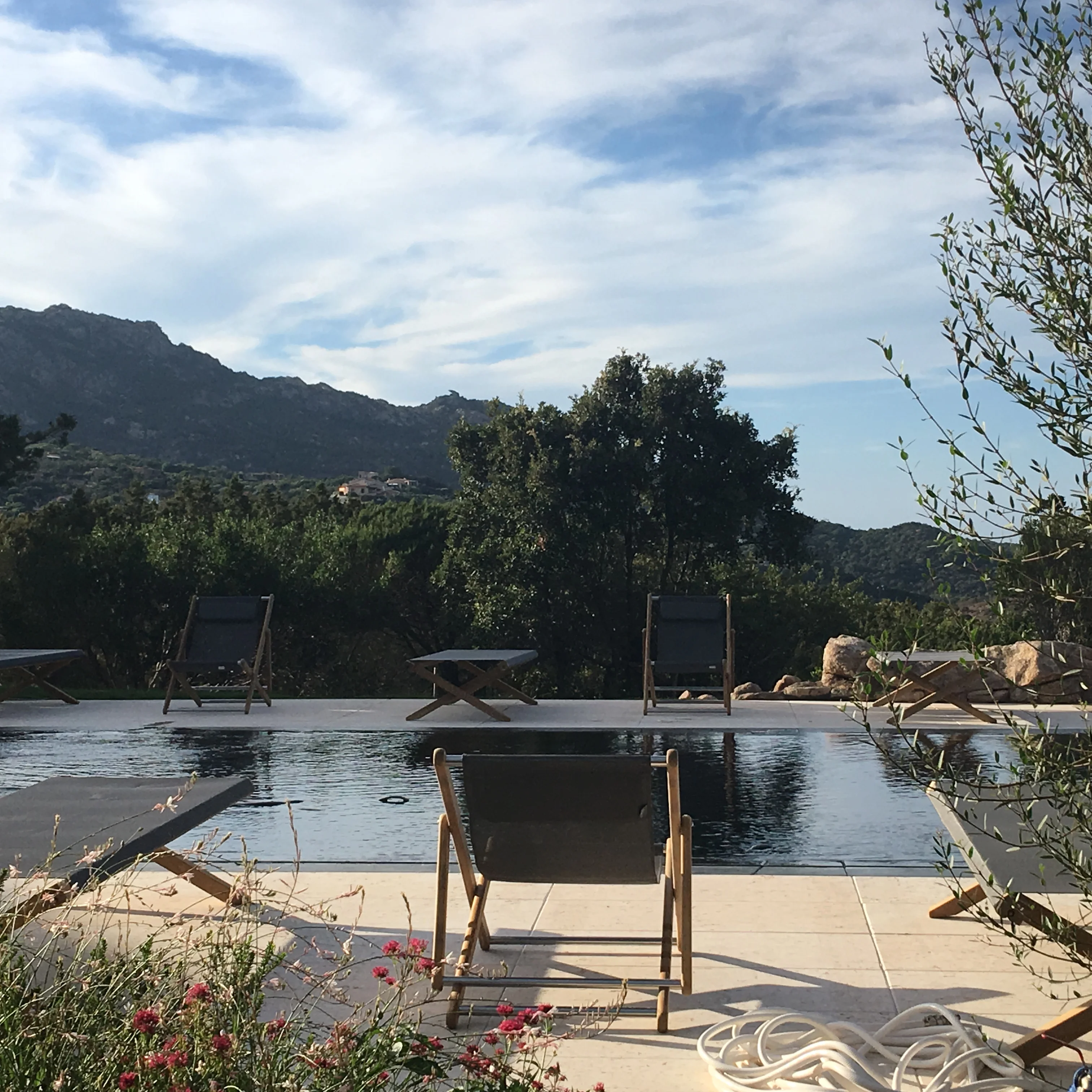 Vista su giardino ad Arzachena