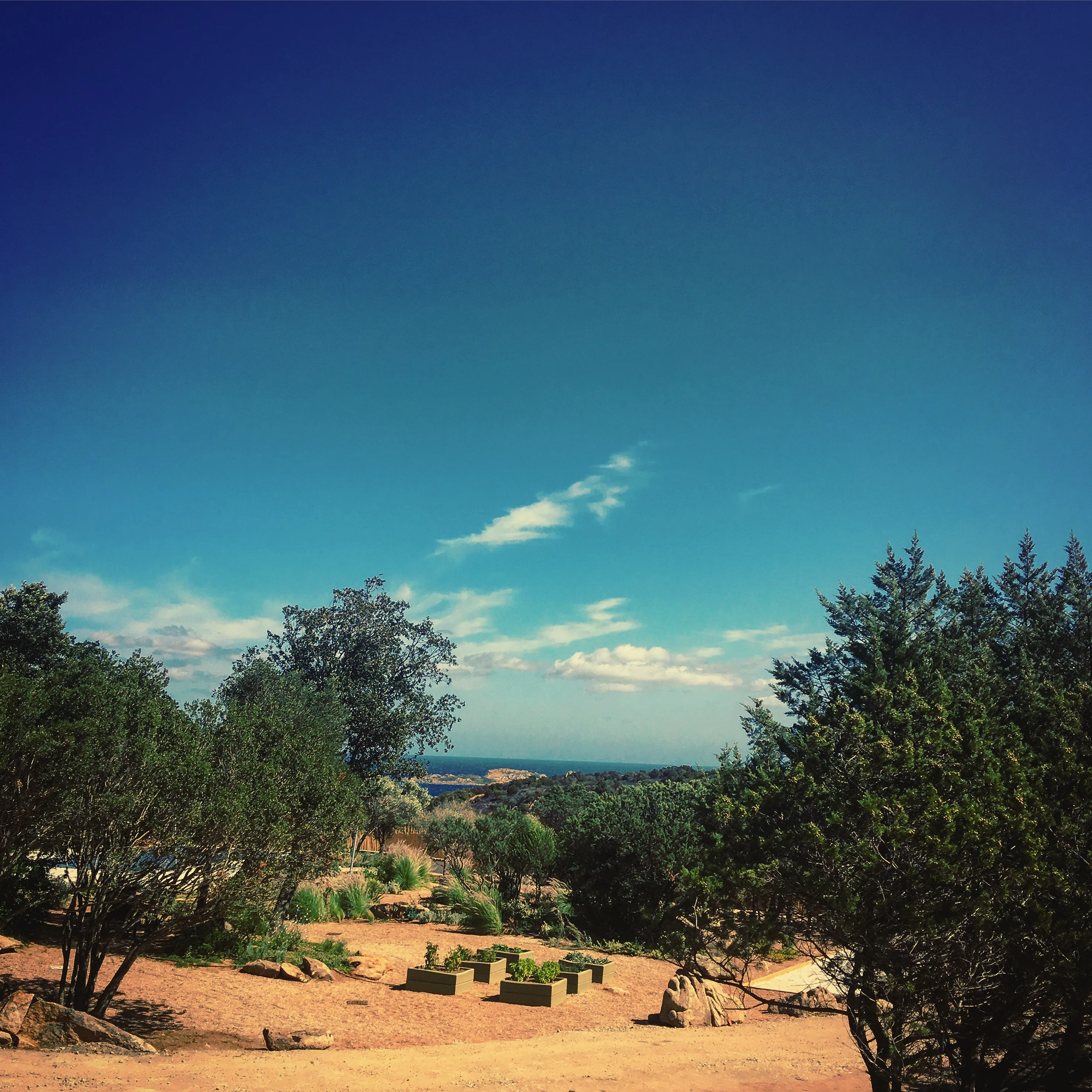 Vista su giardino ad Arzachena