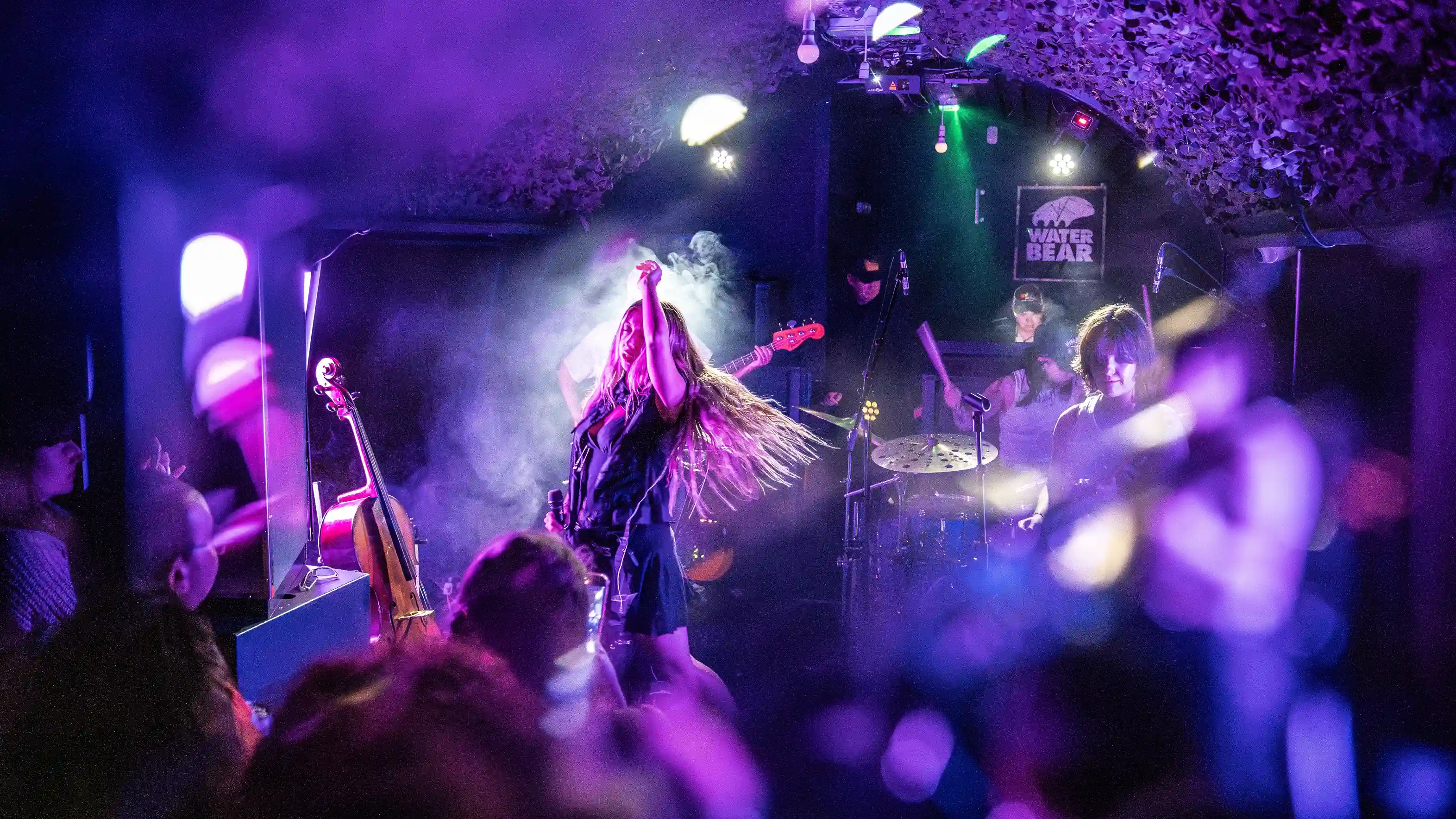 Image concert waterbear