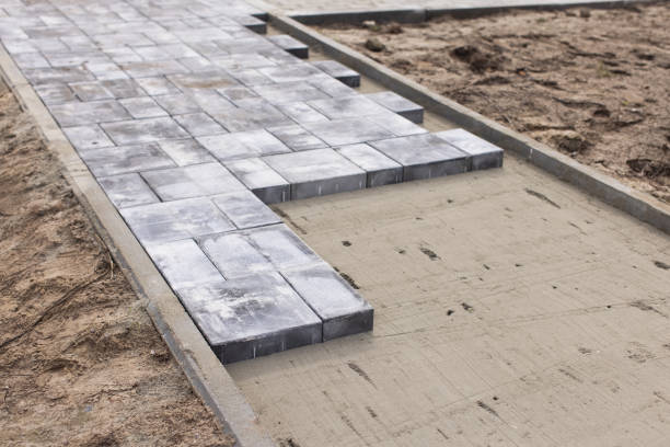 Paver stones arranged on compacted soil