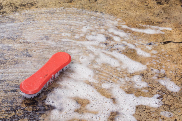 Scrubbing pavers with a brush and biodegradable cleaner
