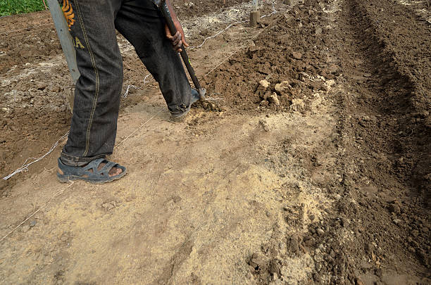 Hand tamping soil to prepare a firm base for pavers