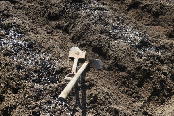 Shovel and rake resting beside a prepared ground area