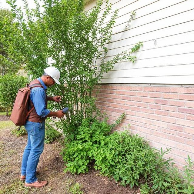 Property inspection for AB 3074 zone 0 requirements with cleared vegetation near house walls