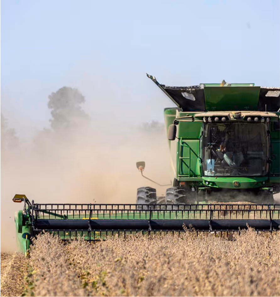 A green combine harvester gathers crops in a field, kicking up dust under a clear sky during harvest season.