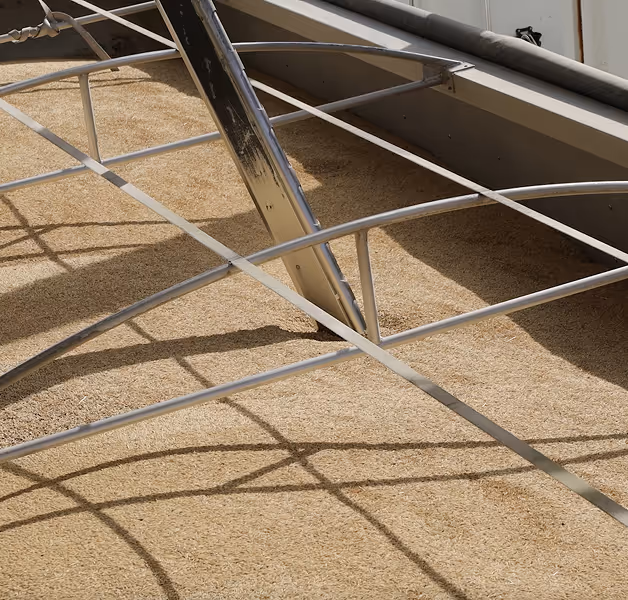 Close-up of raw rice grains inside a metal grain bin.