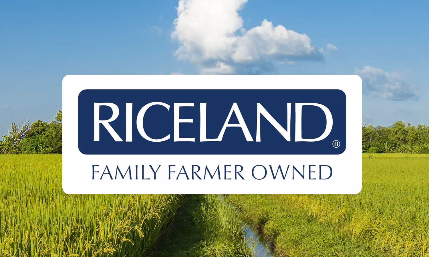 Rice field row with water and blue sky with Riceland Family Farmer Owned logo overtop.