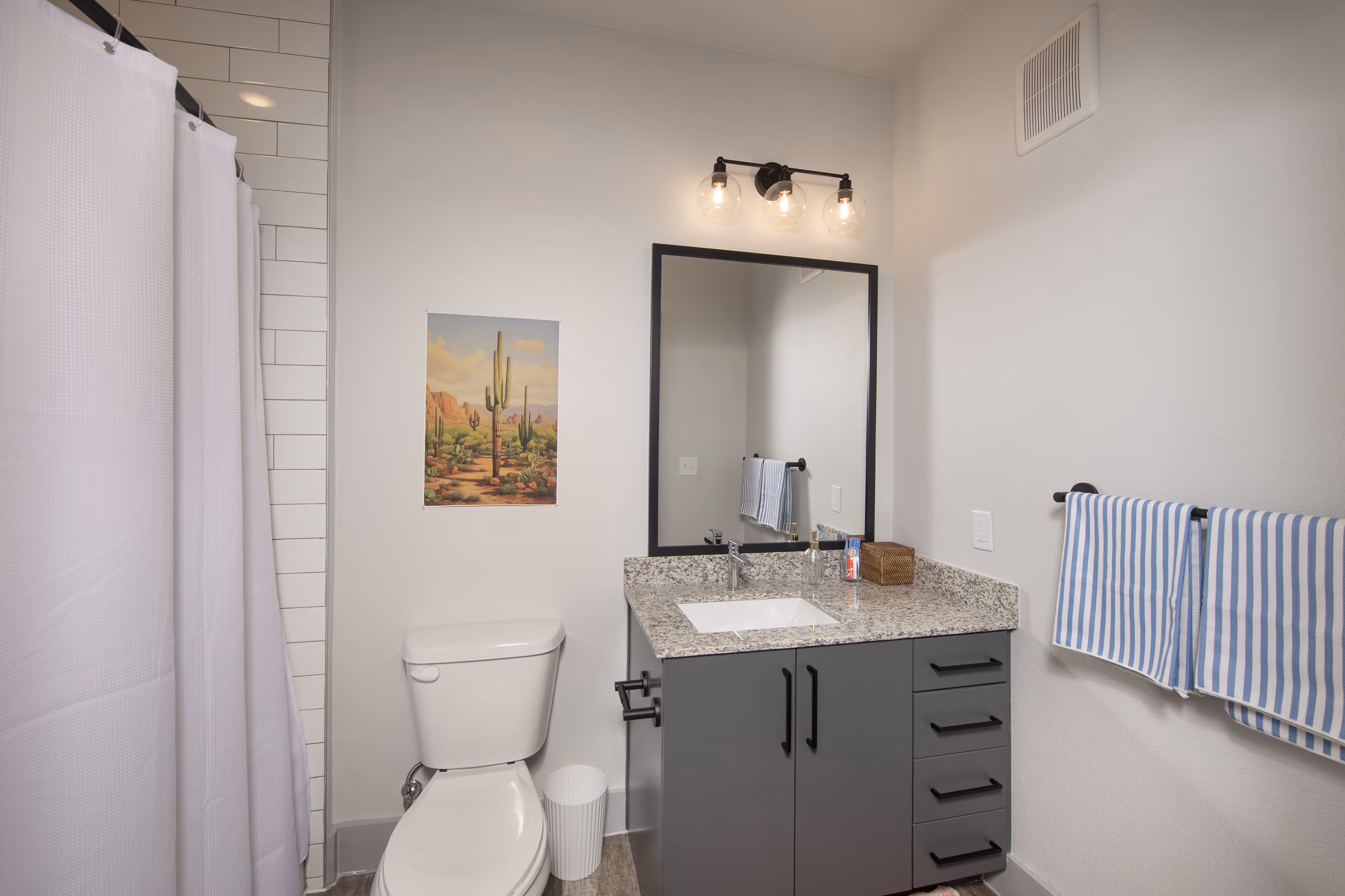 Bathroom with gray vanity