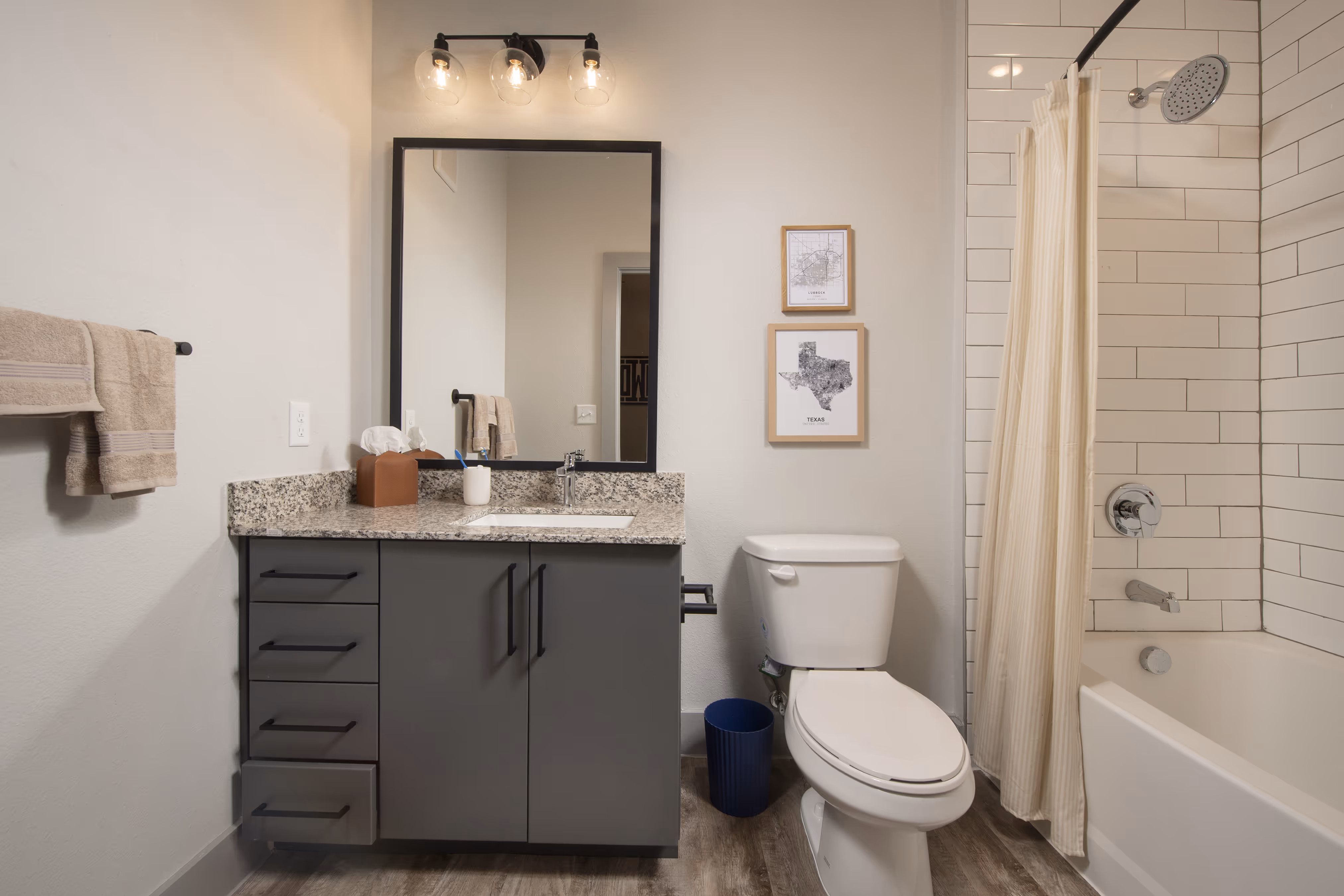 Bathroom with gray vanity