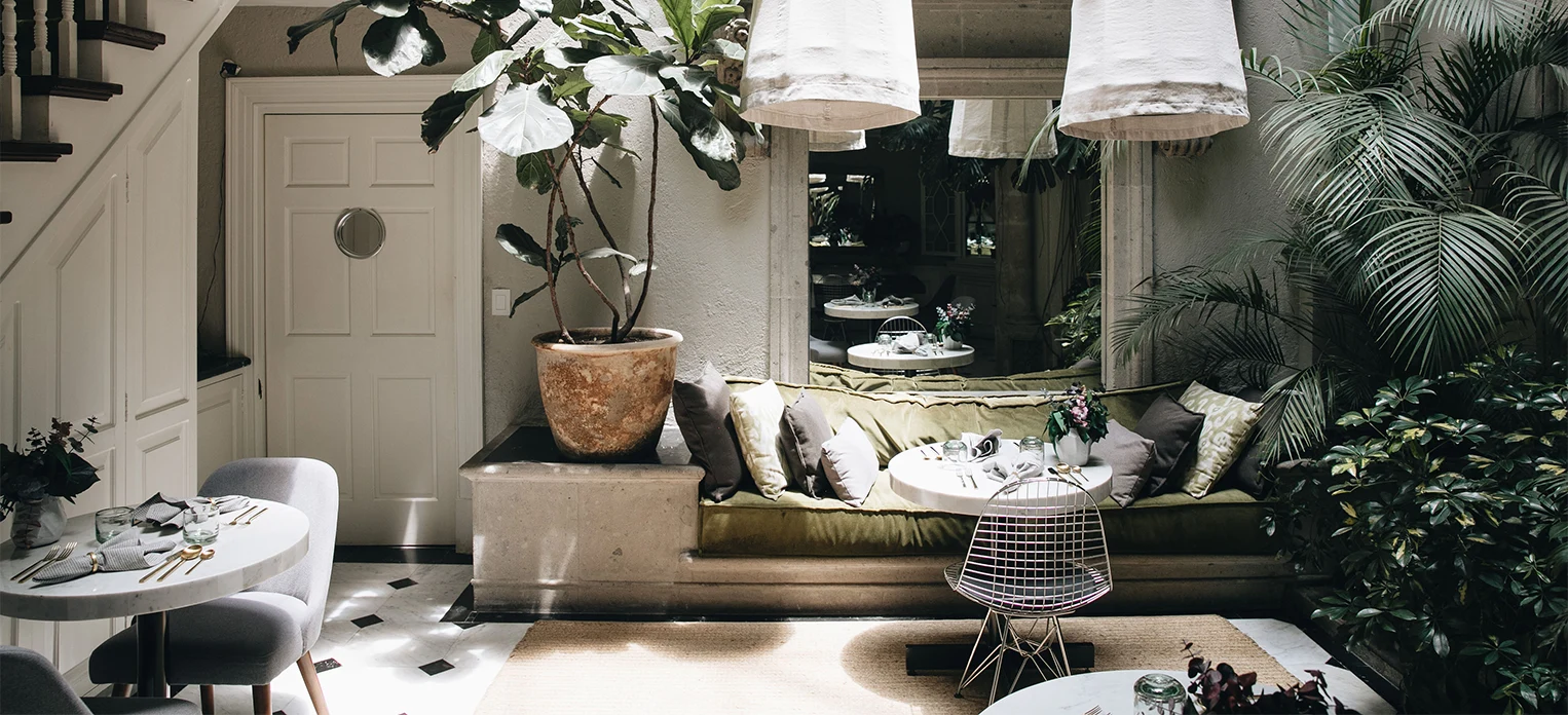silla-playa-plegable-area-arena-fogata-plantas