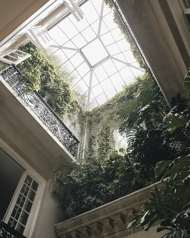 mujer-en-la-cama-con-cafe-viendo-en-la-ventana