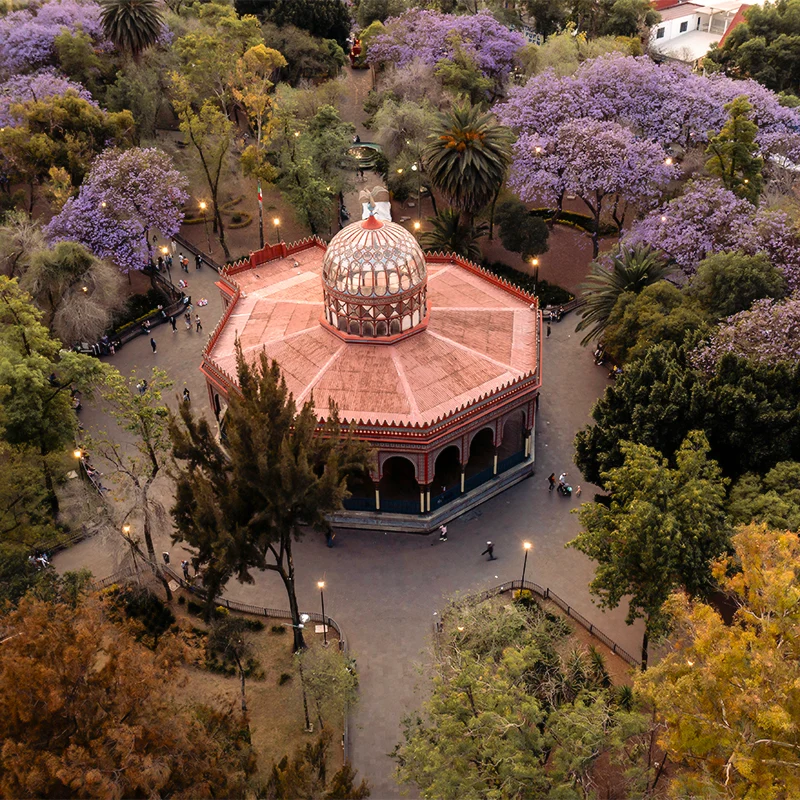 Coyoacán Inmersivo