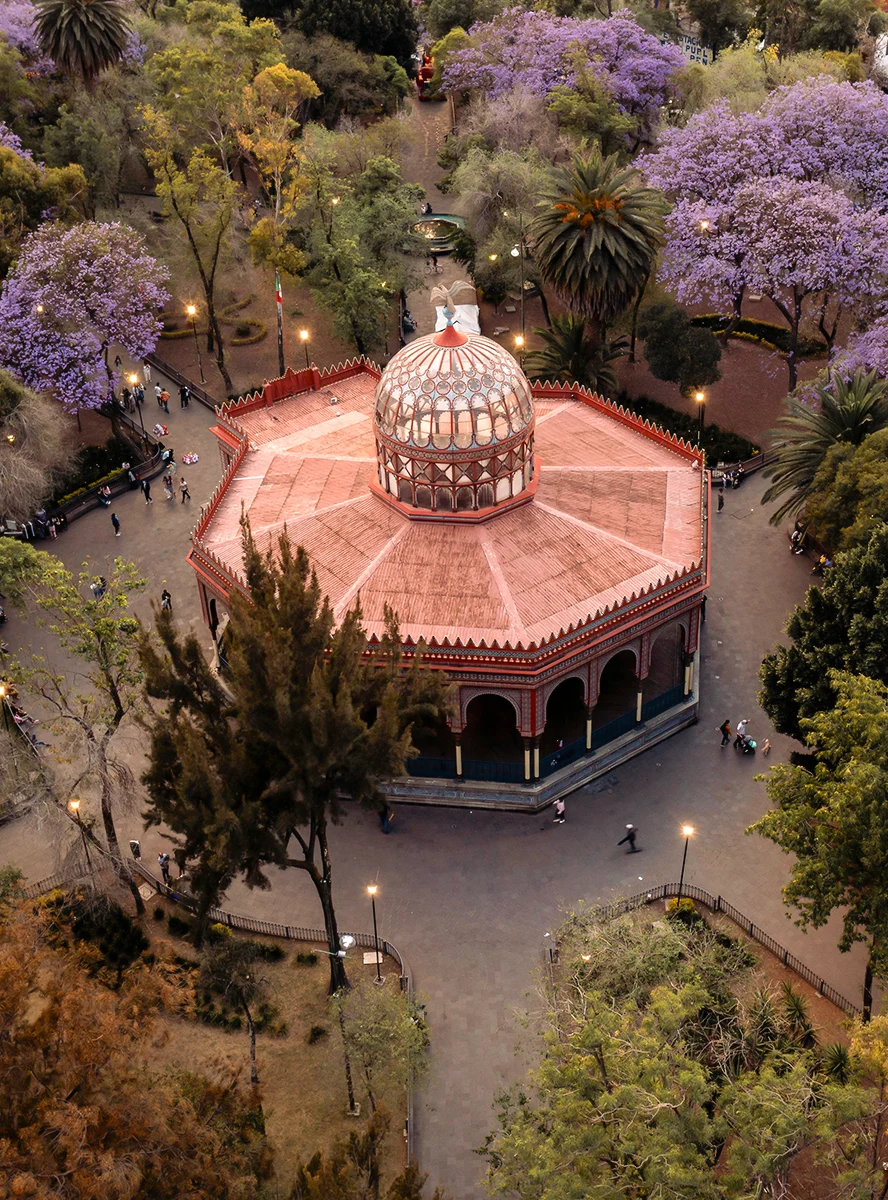 Immersive Coyoacán