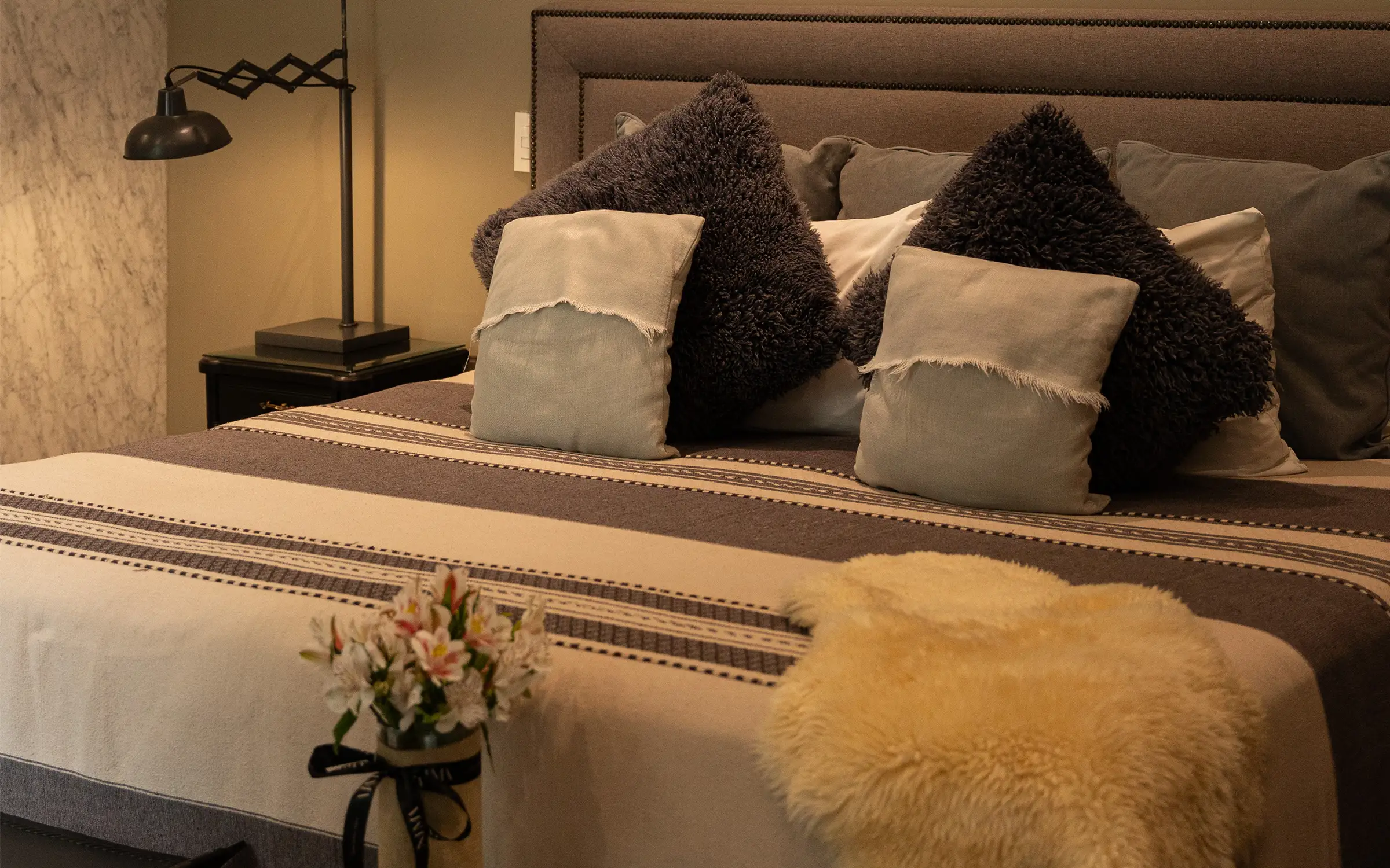 Why Staying in Roma Norte and Nima Local House is the Perfect Match
