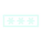 password icon