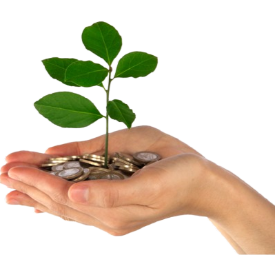 Hands holding a small plant growing from a pile of coins, symbolizing financial growth and sustainability.