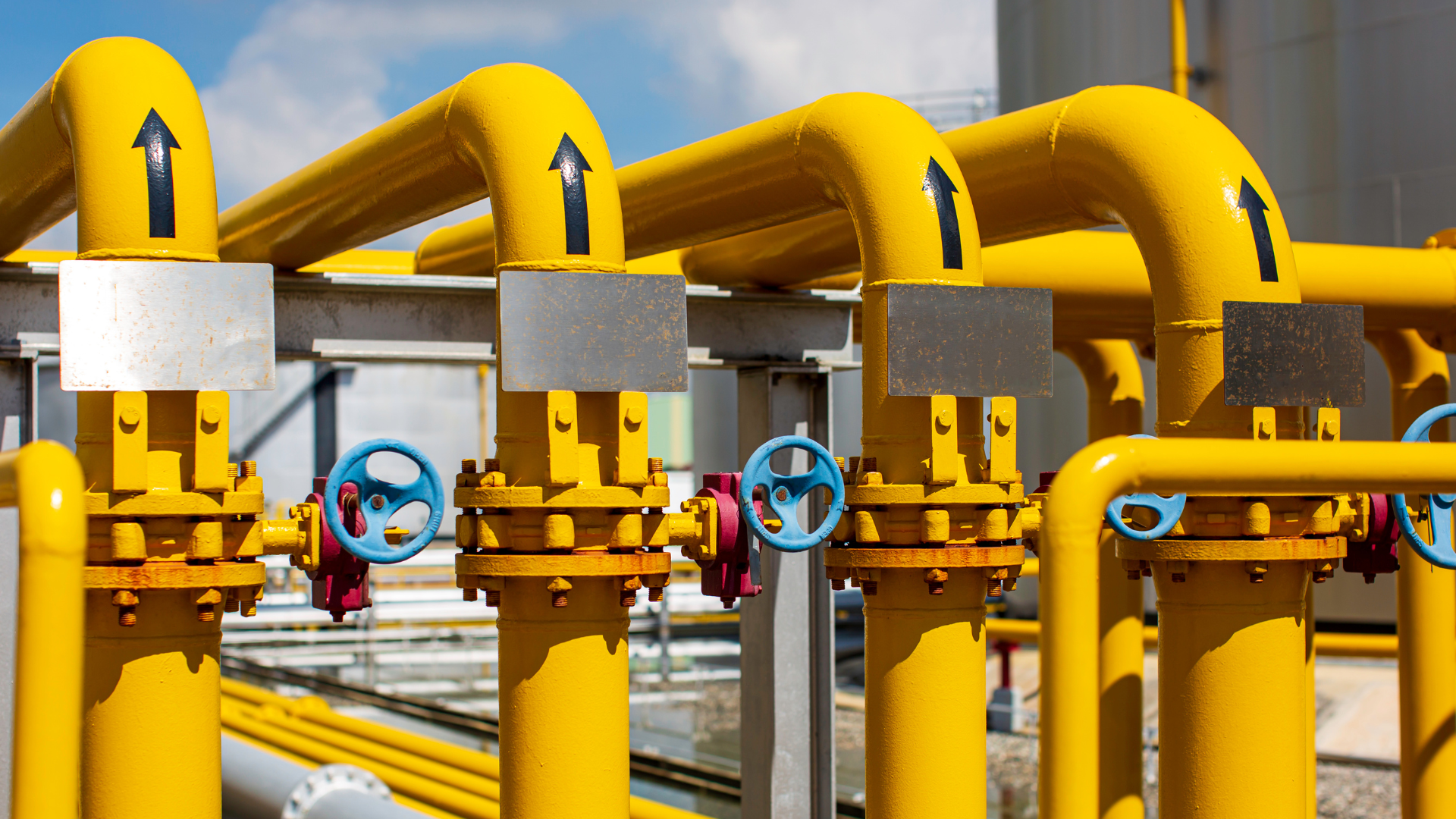 Large bright yellow pipes dominate the composition.